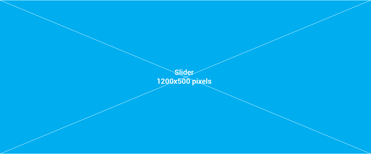 Slide Three