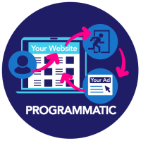 BMESP90_Programmatic-Graphic-Edit-Color