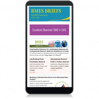 bmes Mobile Mockup