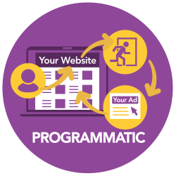 cae Programmatic Graphic - Edit Color