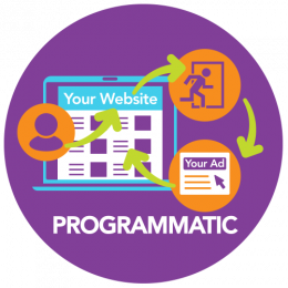 GSAE Programmatic Graphic - Edit Color